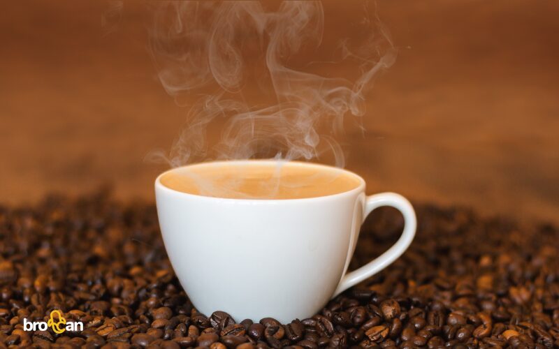 Snímač teploty PTC